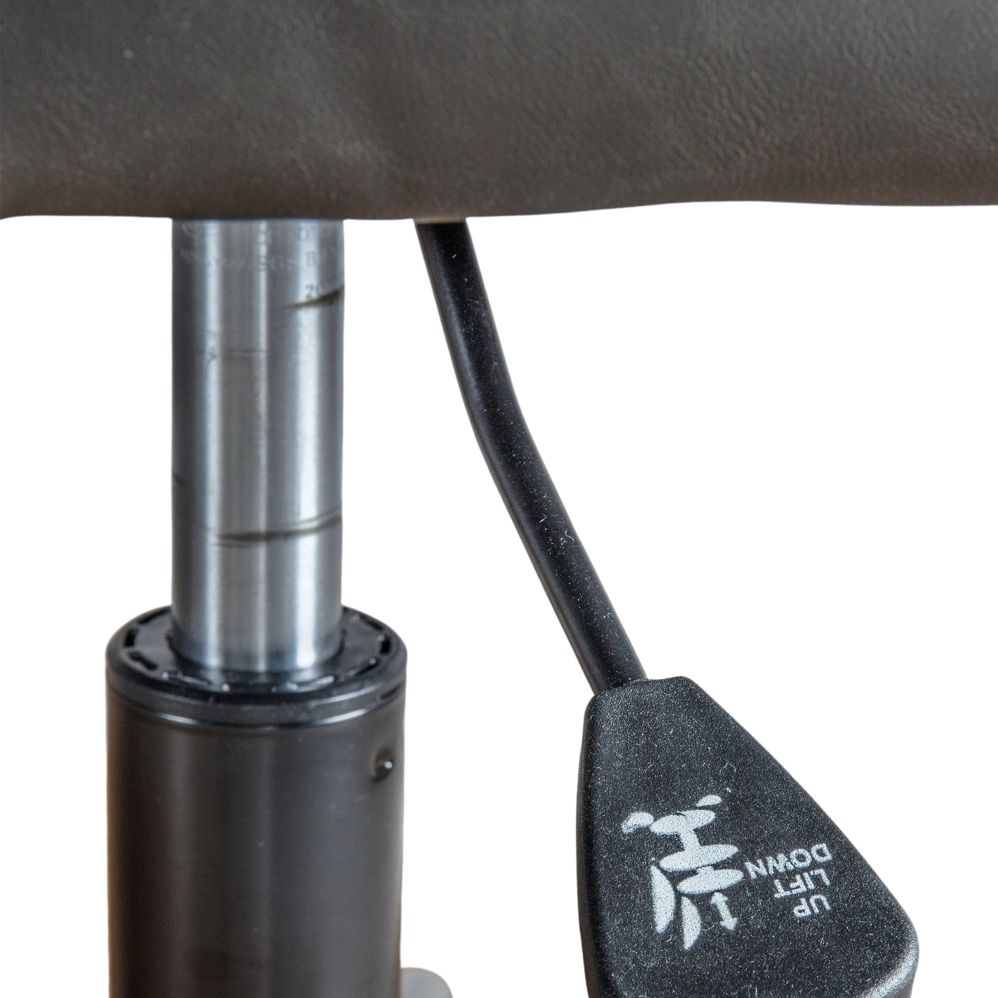 Gallery Direct Faraday Swivel Chair in Charcoal